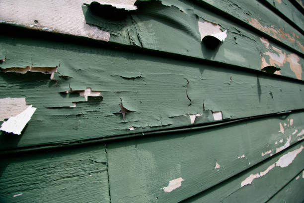 Best Siding Removal and Disposal  in World Golf Village, FL